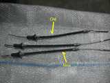 GCW old forum attachment (1700)