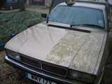 GCW old forum attachment (672)